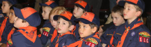 Cub Scouts Tigers