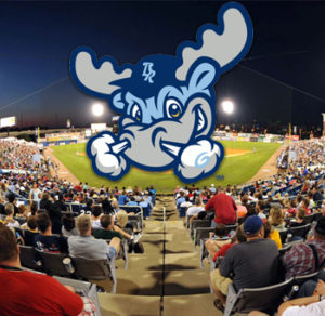 Wilmington Blue Rocks Scout Night