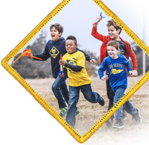 Rocket Into Scouting